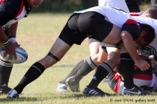 image of rugby_ball