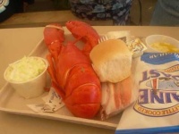 image of american_lobster
