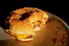 image of cheeseburger