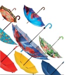 image of umbrella