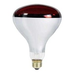 image of light_bulb