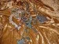 image of velvet