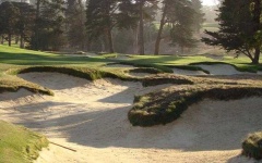 image of golf_club