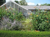 image of greenhouse