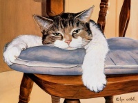 image of egyptian_cat