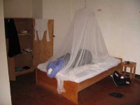 image of mosquito_net