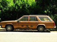 image of beach_wagon_car