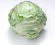 image of head_cabbage #21