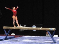 image of balance_beam