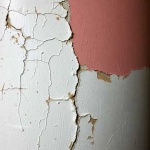 image of bubbled_paint
