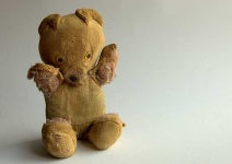 image of teddy