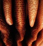 image of texture