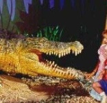 image of animal