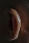 image of ear