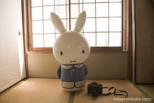 image of shoji