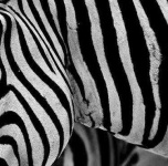 image of texture