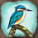image of kingfisher