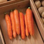 image of carrot
