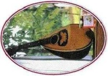 image of mandolin
