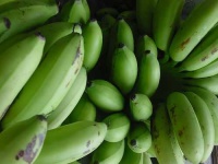 image of banana #26