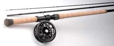 image of reel