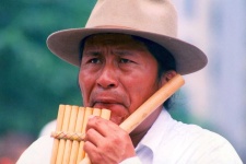 image of flute