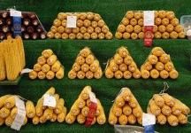 image of corn