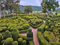 image of garden