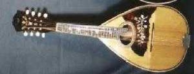 image of mandolin