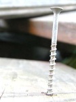 image of screw