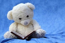 image of teddy_bear