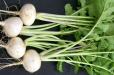 image of turnip #30