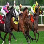 image of sport