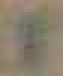 image of char