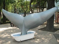 image of bathtub