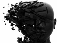 image of brain