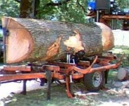 image of lumbermill