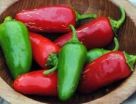 image of fruit_and_vegetable