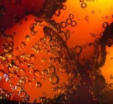 image of bubbly #34