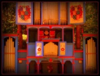 image of organ #24