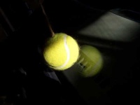 image of tennis_ball #30