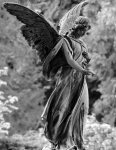 image of angel