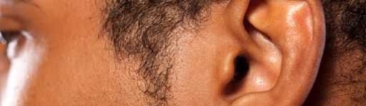 image of ear