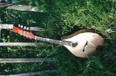 image of mandolin