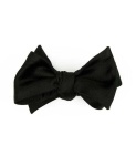 image of bowtie