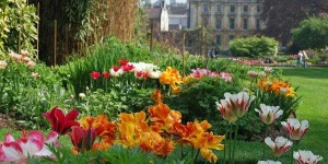image of garden