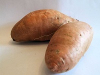 image of sweetpotato #15