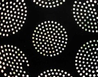 image of strainer