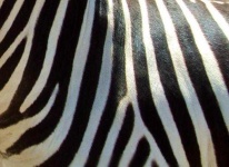 image of texture
