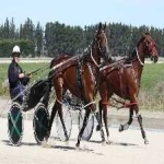 image of harness_racing #8